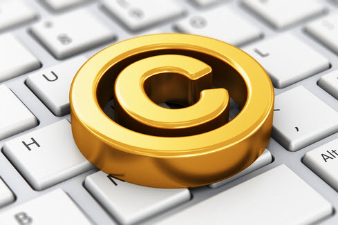 Important Software Copyright Case | Brownsville Commercial Litigation ...